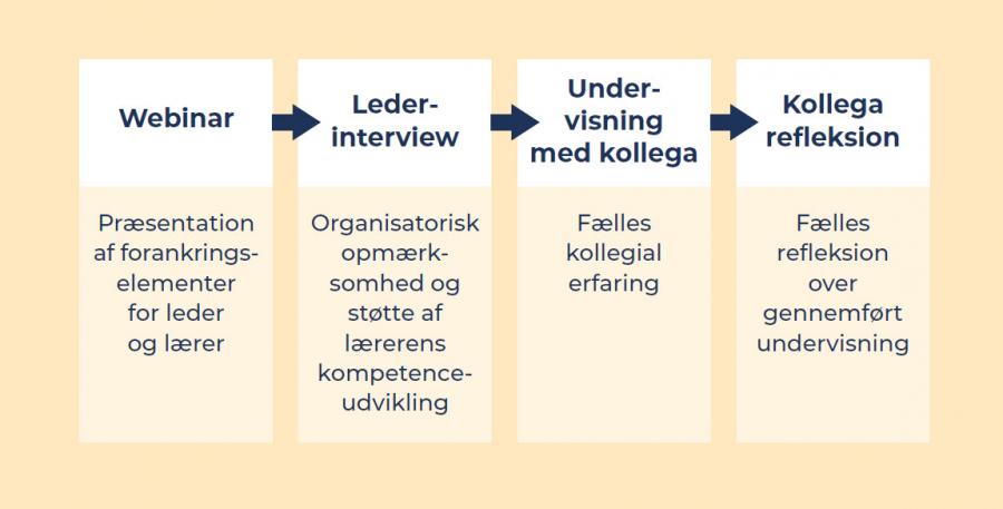 Illustration af undervsiningsformatet